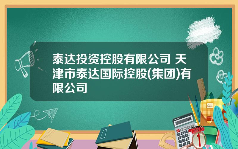 泰达投资控股有限公司 天津市泰达国际控股(集团)有限公司